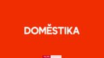 Para quién es Domestika con cursos creativos online para aprender y crecer